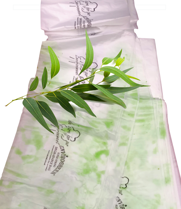 Degradable Scented liners Eucalyptus for Sanitary bins - product photo 3